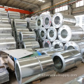 DX51D Z275 SCHEDA COLOVO GALVANIZZATO GALVANIZZATO